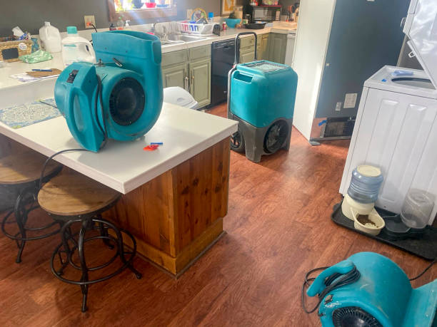 Best Ceiling water damage repair  in Wallburg, NC