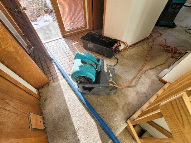 Best Fire Damage Restoration  in Wallburg, NC