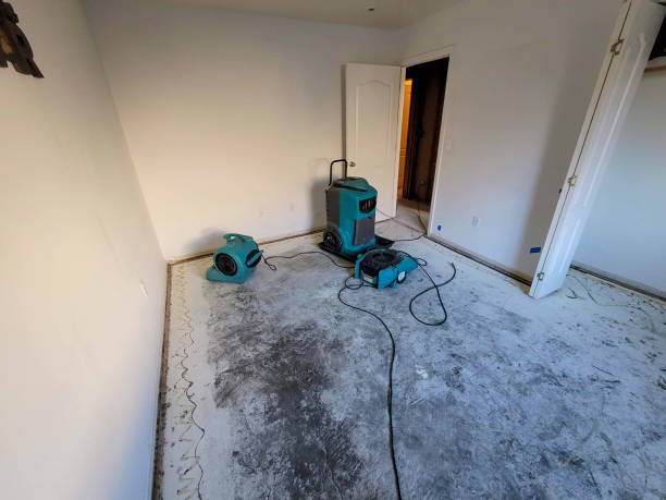 Trusted Wallburg, NC Water damage restoration Experts