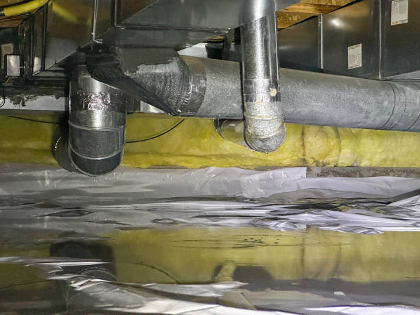 Best Flooded house restoration  in Wallburg, NC