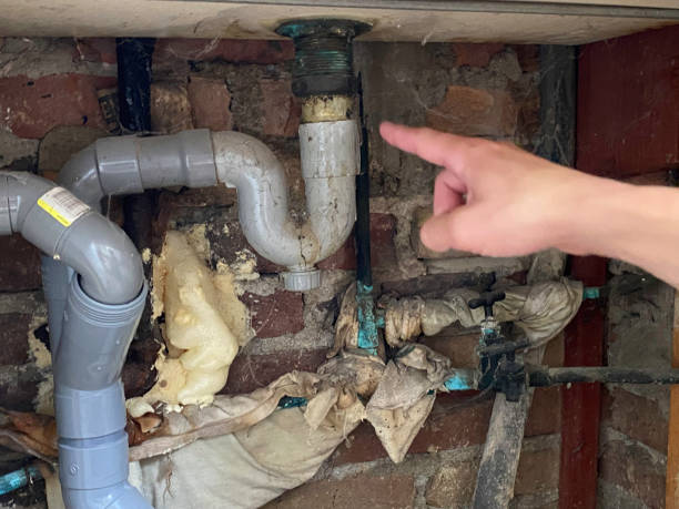 Water damage restoration mold remediation in Wallburg, NC